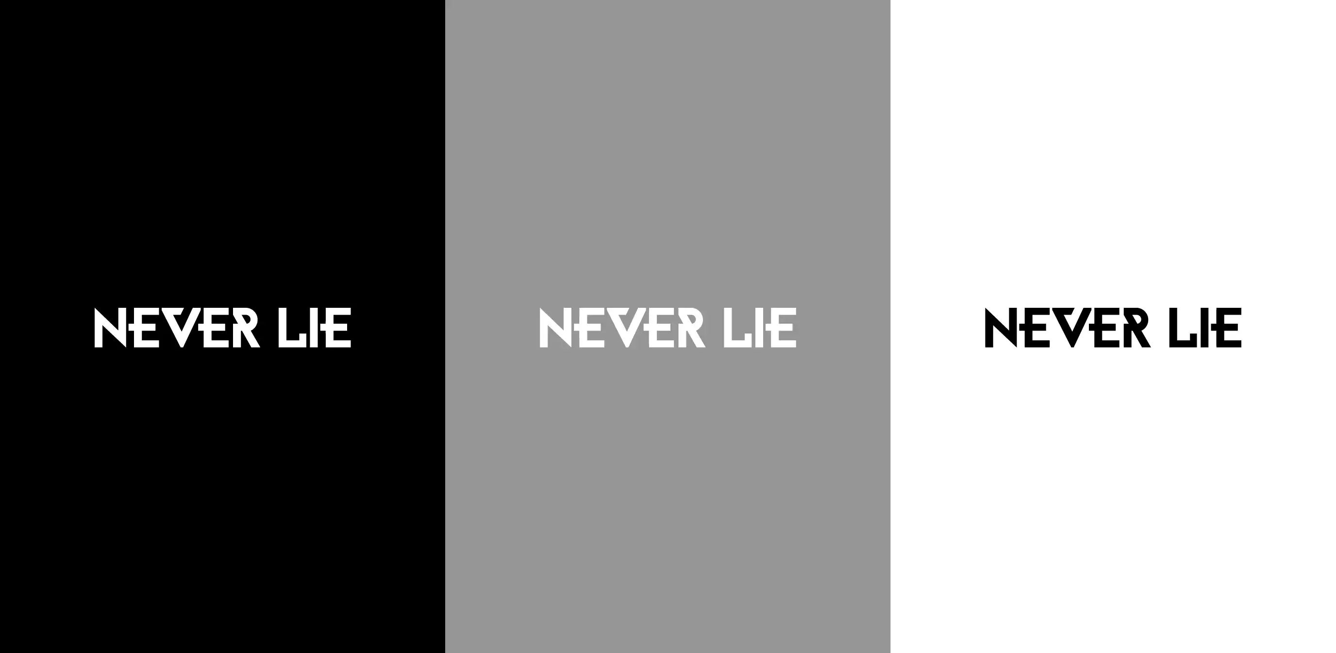 Proyecto Never Lie 3